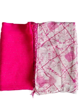 Pink And White Colour Saree With Designer Blouse