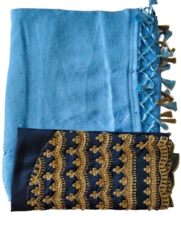 Blue Colour Chiffon Saree With Designer Work Blouse