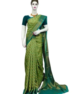 Banarasi silk saree light green color with rama green border