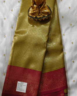 Banarasi silk saree full zari design